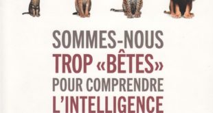 Sommes-nous trop bêtes